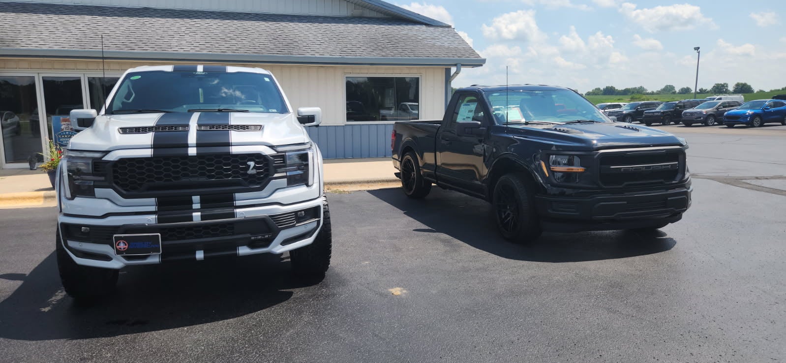 Shelby & Roush Performance Specials